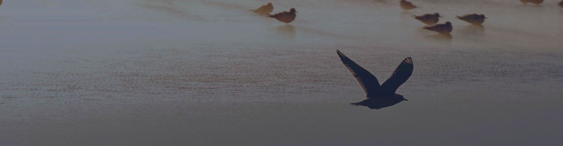 1614285253951418666